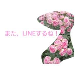854548051