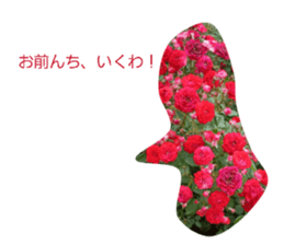 854548056