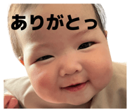 854548426