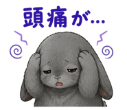 854548814