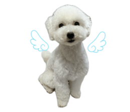 854549270