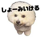 854549845