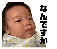 854550228