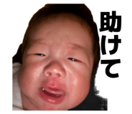 854550233