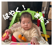854550337