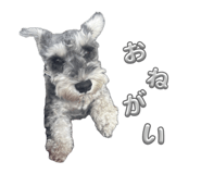 854550886