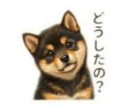 854552902