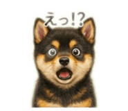 854552903