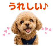 854553897