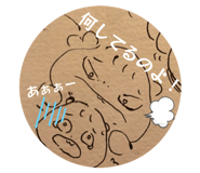 854555127