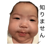 854558704