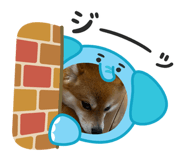 854559602
