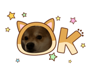 854559606