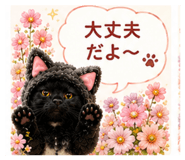 854560604
