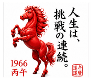 854560706