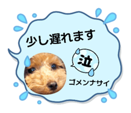 854562370