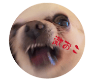 854563215