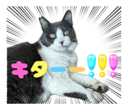 854565655