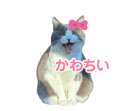 854565656