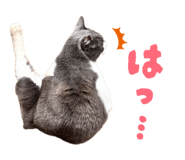 854565659