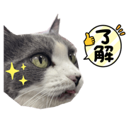 854565664