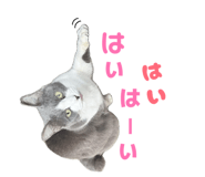 854565668