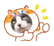 854565670