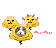 854565674