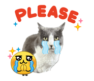 854565678