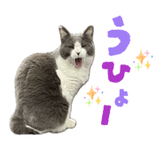 854565682