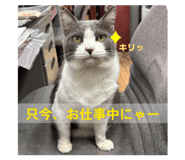 854565686