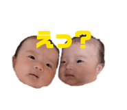 854567826
