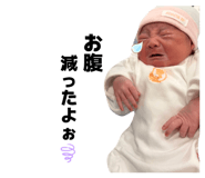 854570587