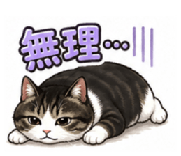 854571037