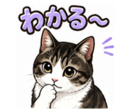 854571038