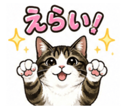 854571042