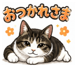 854571043