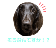 854571338