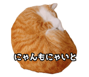 854572155