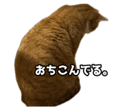 854572157