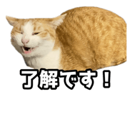 854572165