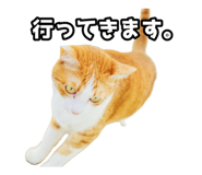 854572167