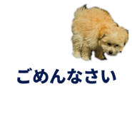 854573047