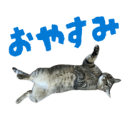 854574146