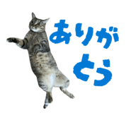 854574147
