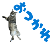 854574148