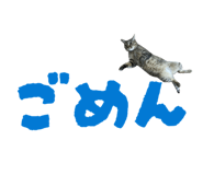 854574149