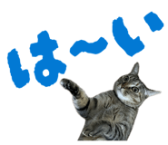 854574151