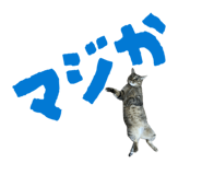 854574152