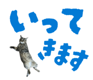 854574153